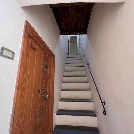 Suite Minerva 10 Steps From Piazza Civica 알게로 외부 사진